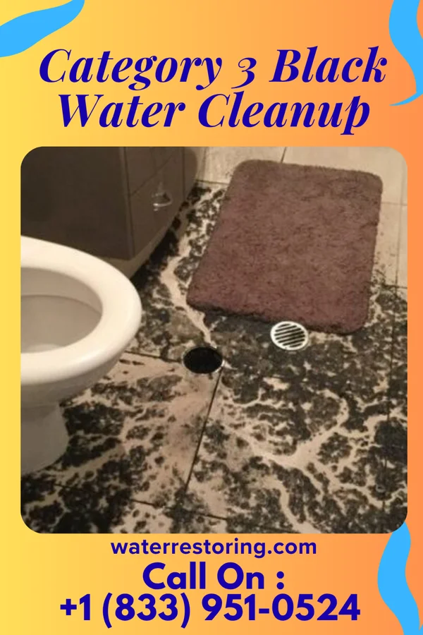 Category 3 Black Water Cleanup in Kenwood, OH