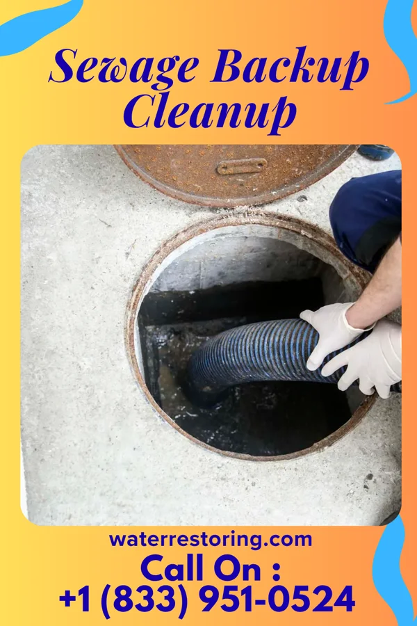 Sewage Backup Cleanup in Kenwood, OH