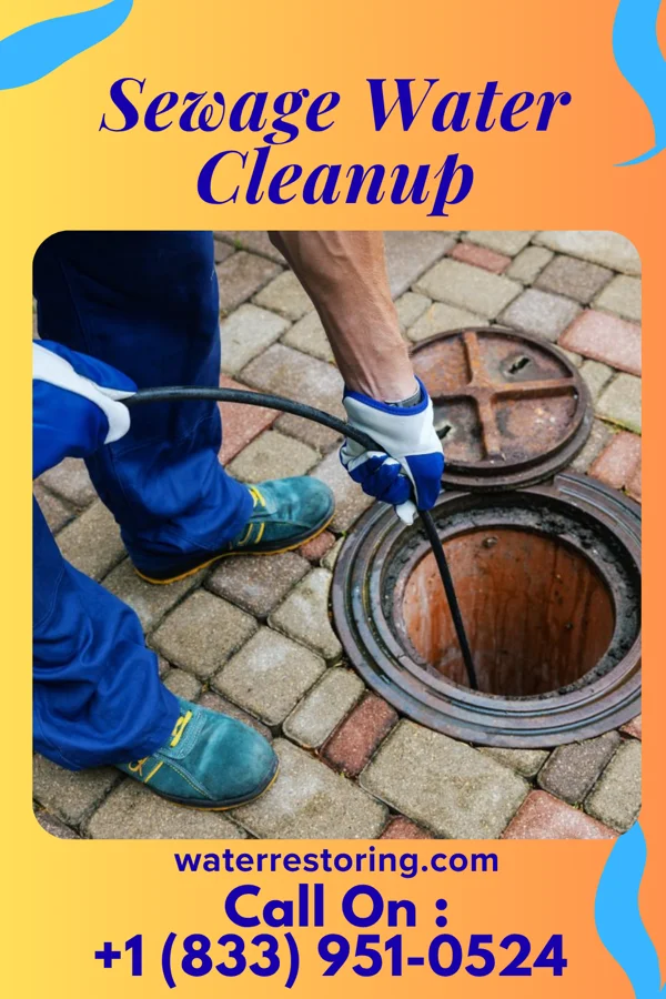 Sewage Water Cleanup in Kenwood, OH